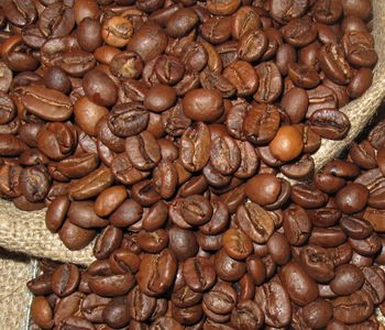 Mluv&iacute;me o nejzn&aacute;měj&scaron;&iacute; a nejroz&scaron;&iacute;řeněj&scaron;&iacute; odrůdě k&aacute;vy. 
Dnes zauj&iacute;m&aacute; t&eacute;měř 3/4 světov&eacute; produkce k&aacute;vovn&iacute;ků. Jej&iacute; světle zelen&aacute; zrnka se vyznačuj&iacute; t&iacute;m, že jsou obvykle v&yacute;razně vět&scaron;&iacute; než zrna robusty, ale tak&eacute; v&yacute;razně niž&scaron;&iacute;m obsahem kofeinu a tak&eacute; tř&iacute;slovin. D&iacute;ky tomu b&yacute;v&aacute; z&aacute;kladem sp&iacute;&scaron;e kyselej&scaron;&iacute;ch k&aacute;v se zaj&iacute;mavěj&scaron;&iacute;m chuťov&yacute;m profilem. Je považov&aacute;na za odrůdu kvalitněj&scaron;&iacute;, ale oproti robustě je i v&yacute;razně draž&scaron;&iacute;.